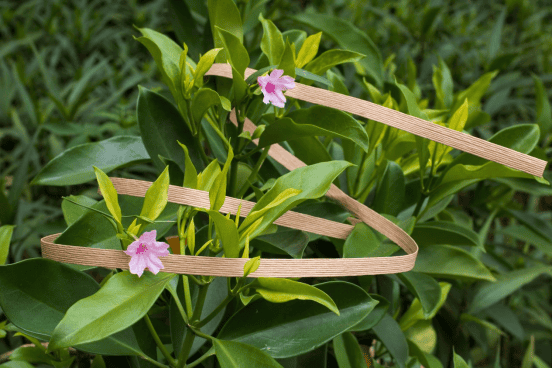 biodegradable strapping band